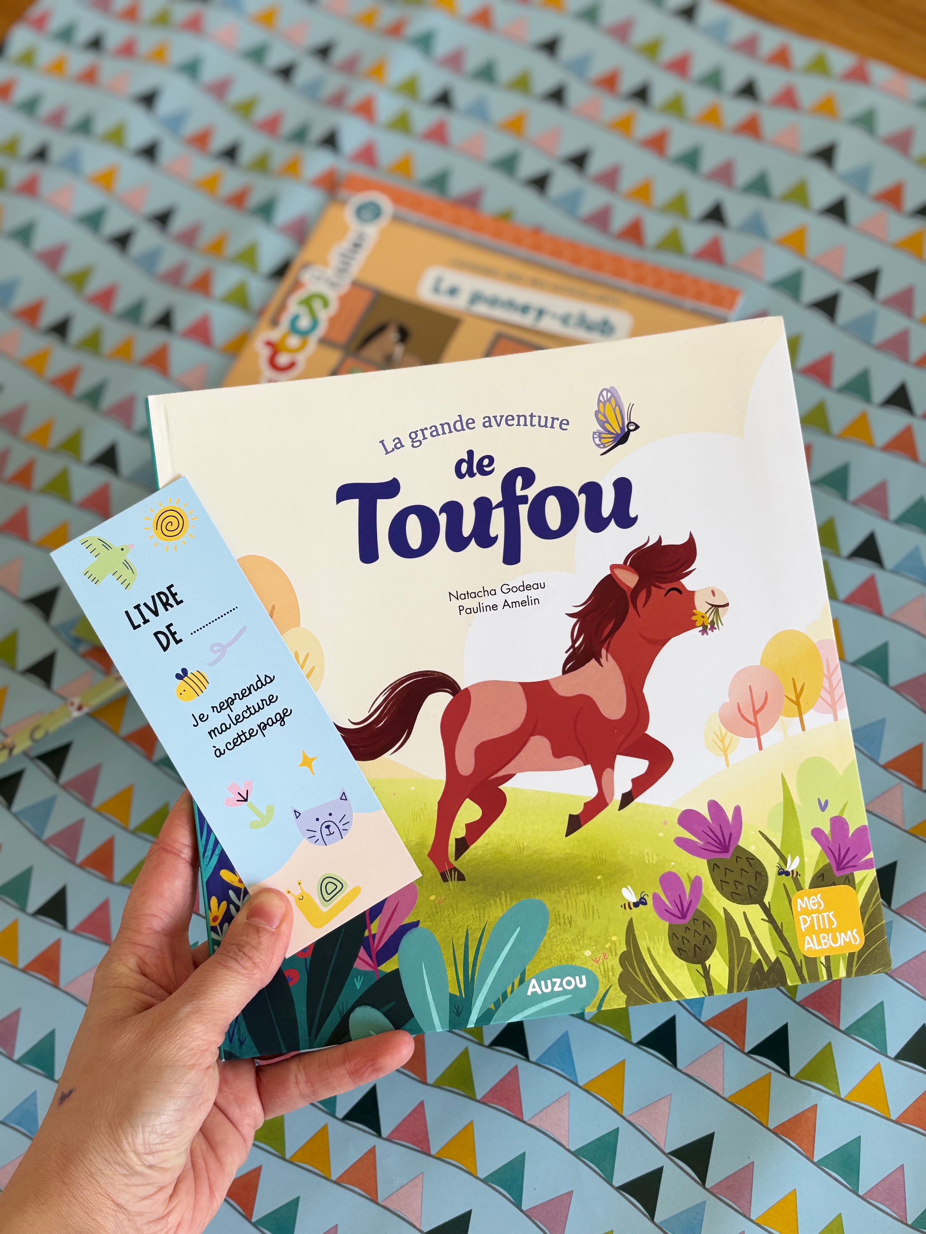 Box kids -  Anniversaire 4-7ans "Poney"